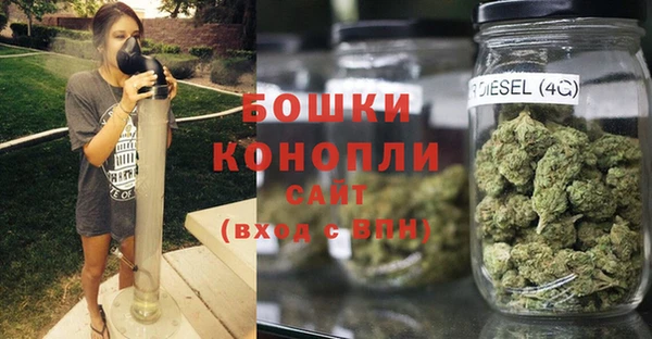 ПСИЛОЦИБИНОВЫЕ ГРИБЫ Дмитровск