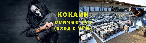 ПСИЛОЦИБИНОВЫЕ ГРИБЫ Дмитровск