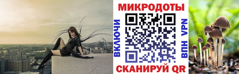 где купить наркоту  блэк спрут ссылки  Псилоцибиновые грибы мухоморы  Киржач 